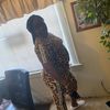 badgranny23