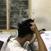 arddmrp
