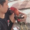 dimas_sadboy