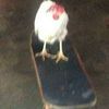 red_robin_yuum