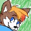 zorrothefox2001