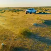 abbaskani8