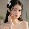 nhinlaiminh