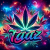 titi2_0_