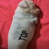 2007_jd