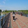 anisnovi_