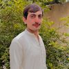 sabir3772