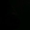 iell_.7