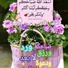 abo.ahmed0943