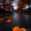 thangnguyen2609