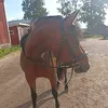 porvvoon_tyhmin