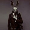 blackrabbitzoo
