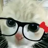 yiendraallycs