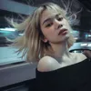 seleneirirs_