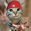zuicidekane69