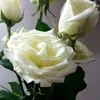 dyvqq69o3avy