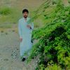 haleempashtoon