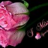 Fawzer Mohammad