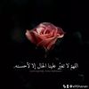 a95hanan