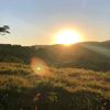 delmar_145