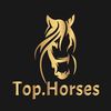 Top.horses