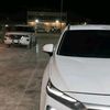 mansouralqamounialezzal0