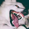 kiki.mao0