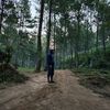 bonsay_87