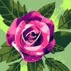 rosamendoza2677