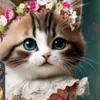 juvenilda.gmail