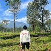 fffrryy_
