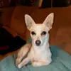 udontnome_777