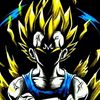 elpr130_vidente