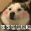wjh_._08