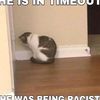uhoh_stinky2002
