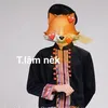 tunglam120820