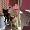 salvatore_376