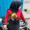 septya_nanda