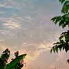 idann_tok