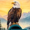 alikick2