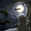scarydreamblxxd.com