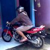 sepele22222