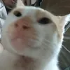 ikr_voneeee