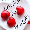 donia8233
