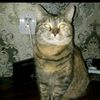 nikolaeva2018gmail.com