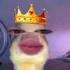 muzmr_