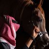 fahad_995