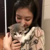 cutiekitty.na9