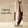 kocharhawlery3