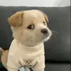 iceeismee